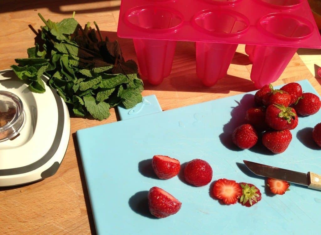 Zelf Fruit Ijsjes Maken Francesca Kookt